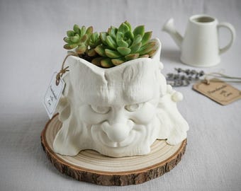 Succulent flower pot with face design, modern ceramic plant pot, gift idea decoration, lovely home accessory with heart