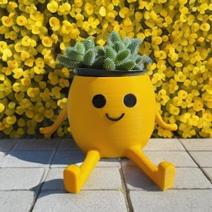 Happy Pot – Smiley Face Planter