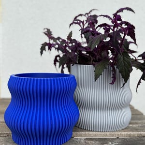 Puede incluir: Dos macetas de cerámica texturizadas y onduladas. Una es azul y la otra es gris. Una planta con hojas moradas está en la maceta gris.