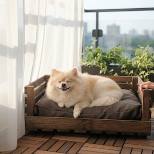 Può includere: Un piccolo e soffice cane di razza Pomerania color crema, con gli occhi chiusi e la bocca leggermente aperta, che riposa su un cuscino rettangolare marrone scuro all'interno di una struttura per cuccia in legno scuro con listelli laterali.