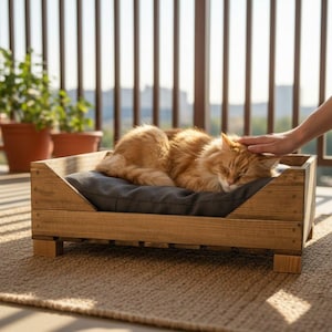 May include: A ginger cat rests in a wooden pet bed with a gray cushion. The bed is on a woven rug, and a person's hand gently pets the cat. The scene is set on a balcony with potted plants and a city view.