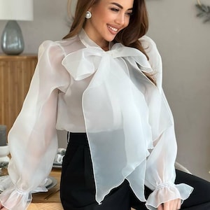 Sheer Organza Blouse With Long Bishop Sleeves & Cami Top for