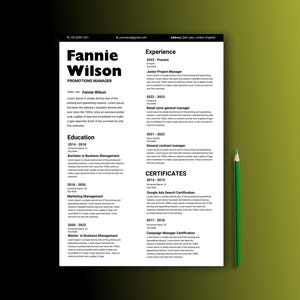 Currículum tradicional para profesionales de carrera, formato CV clásico con diseño moderno, Word y PDF