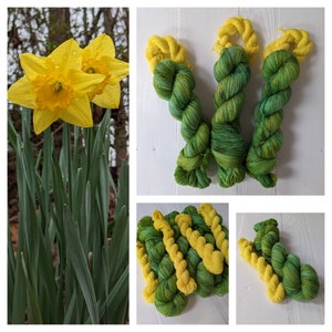 Daffodils // Sock Yarn Set or Single Skein// 120g total (100g skein + 20g skein) hand dyed SW merino wool/nylon, sock yarn kit