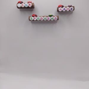 May include: Three brown wooden branch segments decorated with small red ladybug figurines. The segments feature white circular beads with colourful letters spelling out the words YOUR, NAME, and SPOODERS, arranged in three separate horizontal lines.