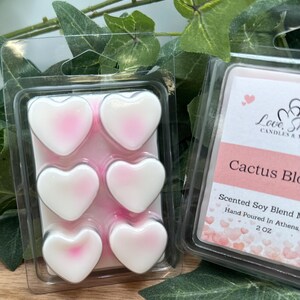 May include: Two packages of scented wax melts. One package contains six heart-shaped melts with a white and pink gradient. The other package has a label that reads "Cactus Bloom" and "Scented Soy Blend".