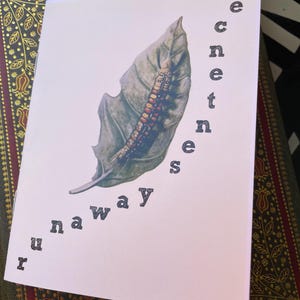 runaway sentence poetry zine volume two: if I am green