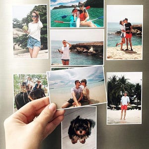 May include: A collection of printed photographs, including images of people kayaking, kissing on a beach, and posing with a coconut. A small, dark-haired dog is also featured in one of the photos.