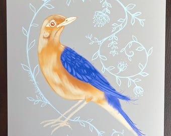 Bluebird Botanical Art Print: Vintage Cottagecore Floral Illustration