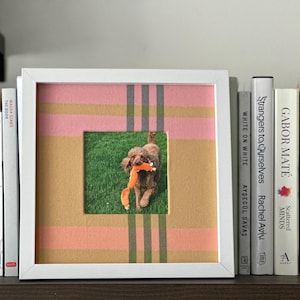 May include: A framed photograph featuring a brown dog with an orange toy in its mouth, set against a green lawn. The frame is white, with a pink, tan, and gray striped design. Books line the shelf beside the frame.