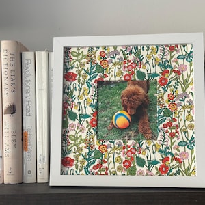 May include: A white framed picture with a floral pattern border. The picture inside shows a brown dog with a colorful ball on the grass. Books are lined up on a shelf behind the frame.