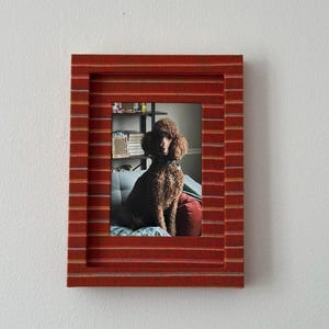 May include: A framed photograph featuring a brown poodle with a blue collar. The frame is a rectangular shape with a red and orange striped pattern. The dog is sitting on a blue cushion with a red pillow behind it.