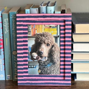 Striped Fabric Wrapped Picture Frame (5x7” matted to fit 4x6” photos)