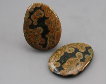 Ocean Jasper Matching Pair Cabochons