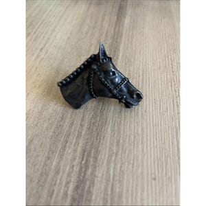 May include: A detailed, dark metal horse head sculpture, featuring a bridle and braided mane. The sculpture is a detailed representation of a horse's head, with a focus on the facial features and the bridle.