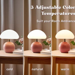 May include: A set of three pink table lamps with adjustable color temperatures. Each lamp has a round base, a gold stem, and a white, mushroom-shaped shade. The text reads "3 Adjustable Color Temperatures. Suit your Room Ambience."