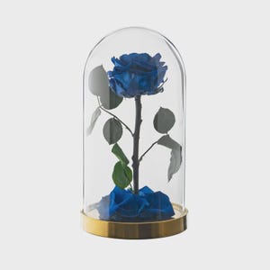 Premium Eternal rose in glass dome