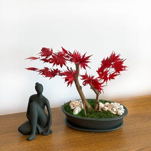 Preserved Bonsai Japanese Maple Red 30 cm