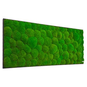 Moss picture Greenhill 120 x 50 cm