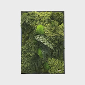 Moss Picture Forest 50 x 70 cm