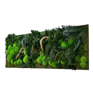 Moss picture Juniperus 150 x 50 cm