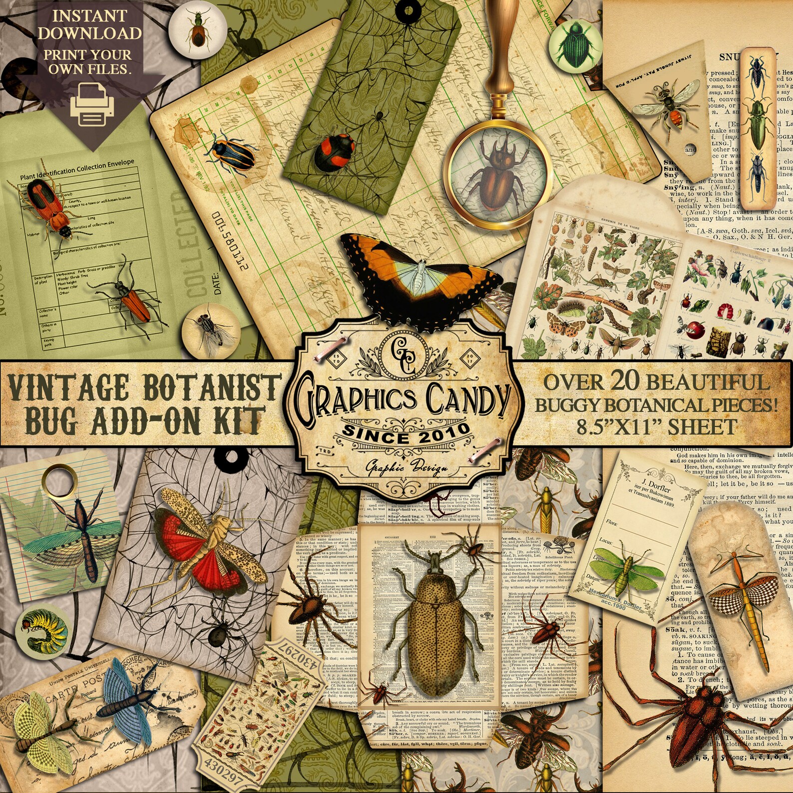 Vintage Botanist Bug Add-on Kit Digital Junk Journal - Etsy