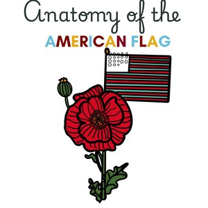 Anatomy of an American Flag, American Flag for Kids, What the Flag Means, Kids History, Geography, Pledge of Allegiance, History in America
