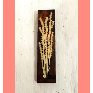 Solo Ocotillo - Original Art on Ironwood Palm Springs