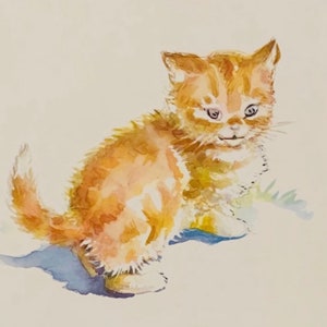 Puff the Orange Tabby From Dick and Jane Books Poster
