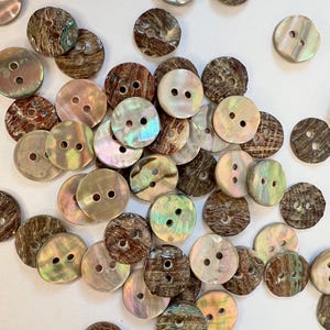 Könnte beinhalten: Eine Sammlung runder Knöpfe mit jeweils zwei Löchern. Die Knöpfe haben ein natürliches, schillerndes Aussehen mit Farben von Braun und Beige bis hin zu perlmuttweiß und schillernden Farbtönen. Die Knöpfe sind auf einer weißen Oberfläche verstreut.