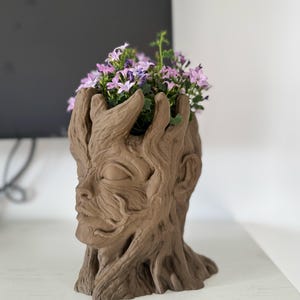 May include: A brown head-shaped planter, resembling a tree, filled with purple flowers. The planter has a detailed face and textured bark-like features. The flowers provide a vibrant contrast to the earthy tones of the planter.