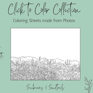 Sunbeams and Sandtrails Desert Coloring Sheet