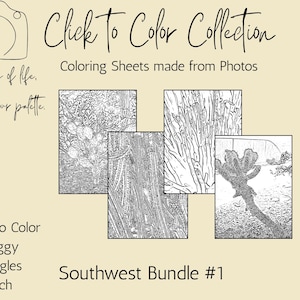 Southwest Coloring Sheet Bundle 1