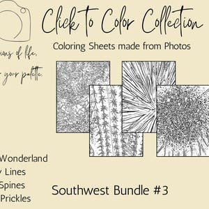 Southwest Coloring Sheet Bundle 3