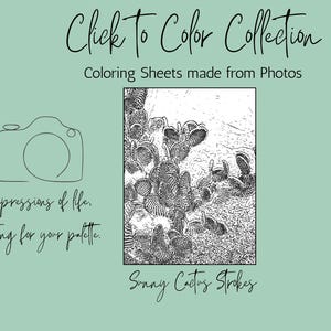 Puede incluir: Ilustración en blanco y negro de una planta de cactus. La imagen se titula "Sunny Cactus Strokes" y forma parte de una colección de hojas para colorear llamada "Click To Color Collection".