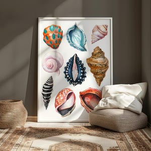 Seashell Wall Art Printable | Coastal Beach Decor | Ocean Shell Poster | Nautical Bathroom Art | Sea Life | Shell Illustration Print
