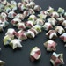 see more listings in the Origami Stars section