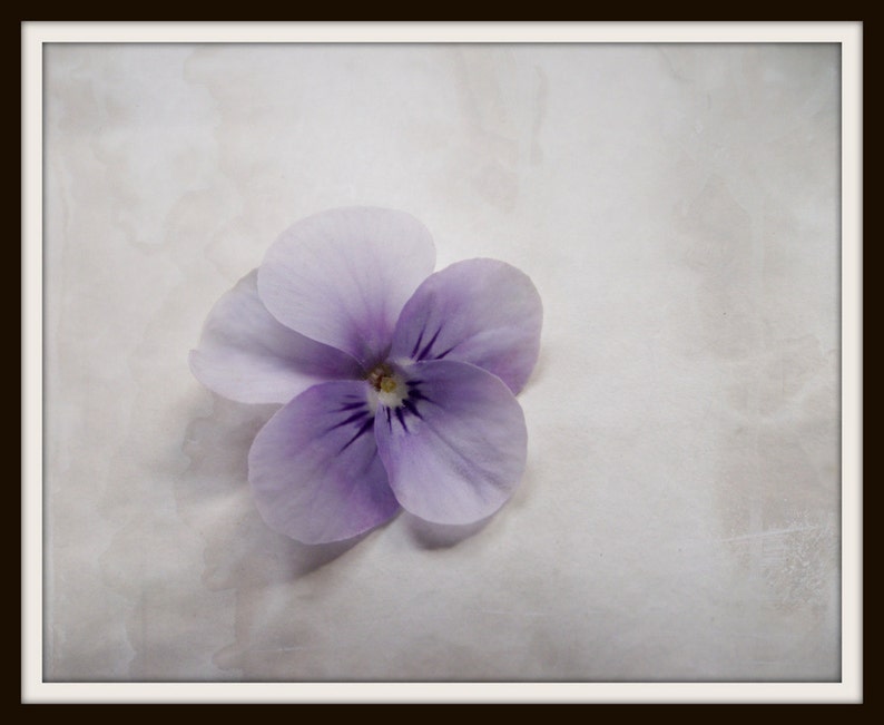 Flower Photography Purple Lilac Minimalist Home Decor 10x8 | Etsy