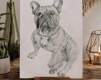 Anpassat porträtt av en fransk bulldogg från foto, handritat husdjursporträtt, personlig hundteckning, grafitblyertskonstgåva