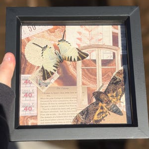 Peut inclure: Une œuvre d'art encadrée représentant deux papillons et un papillon de nuit sur un fond vintage avec du texte. Les papillons sont crème et noirs, tandis que le papillon de nuit est brun et beige. Le cadre est noir.