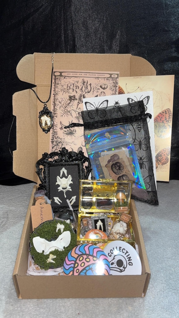 A curated mystery box of real bones, ethically sourced taxidermy, and crystals — every unboxing is a tiny cabinet of curiosities.
