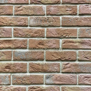 Mold for Wall Decoration, Artificial Stone and Tiles from plaster, concrete, gypsum &#39;Old Brick&#39; SET 10 pcs DIY