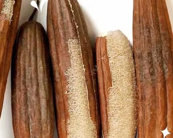 Loofah Sponge ，Biodegradable ，Bath Or Kitchen Use，Same day shipping