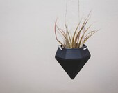 Black Mini 3D Printed hanging Planter with LIVE Air Plant Geometric Air Plant Holder, dorm room decor Scandinavian decor, collie grad gift
