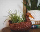 Vintage Wicker Duck Basket with four LIVE air plants, air plant decor, gift for women, gift for plant lady, friend Gift, Christmas gift
