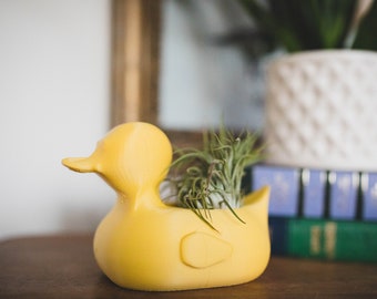 READY TO SHIP Duck Air plant holder + plant - drake, rubber ducky, animal nursery decor, nature animal, duck hunting, birthday cake topper