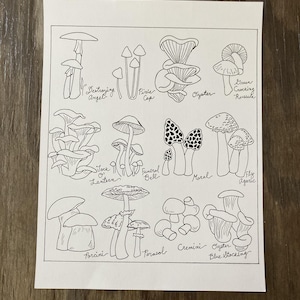 Pen and Ink Mushroom Chart