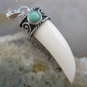 May include: A white tooth pendant with a silver setting and a turquoise stone. The pendant has a silver bail for attaching to a chain.