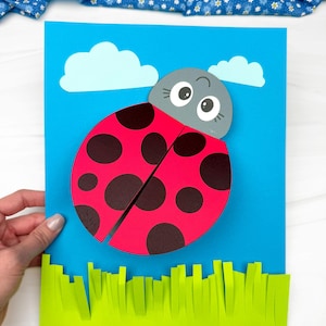 May include: A colorful paper craft featuring a ladybug design. The ladybug has a red body with black spots, a gray head, and large eyes. The background is blue with paper clouds and green paper grass.