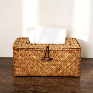 May include: A rectangular tissue box cover crafted from woven brown natural fibres. The lid features a central dark brown toggle button closure with a thin black elastic loop, and a white tissue is protruding from the rectangular opening on top.